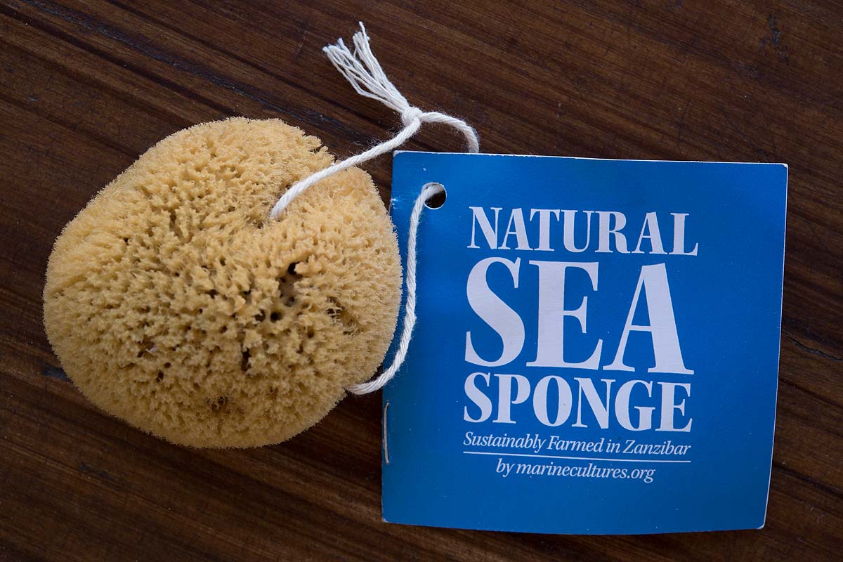 Natural Sea Sponge from Zanzibar