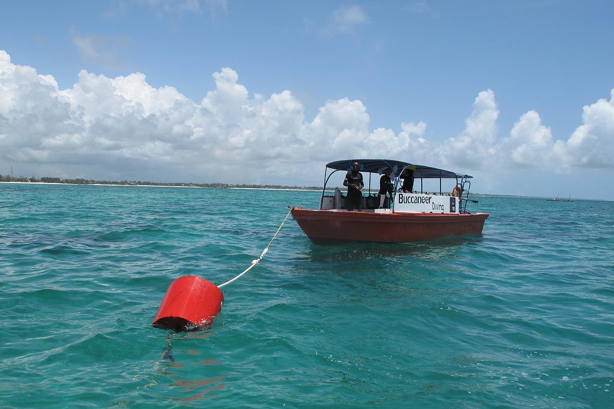 Diving Boat attached to buoy