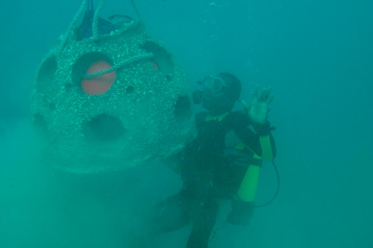 Divers moving a reef ball