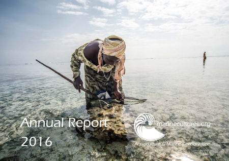 Cover picture Annual Report 2016