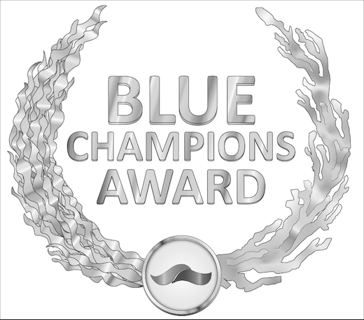 Blue Champions Award Logo