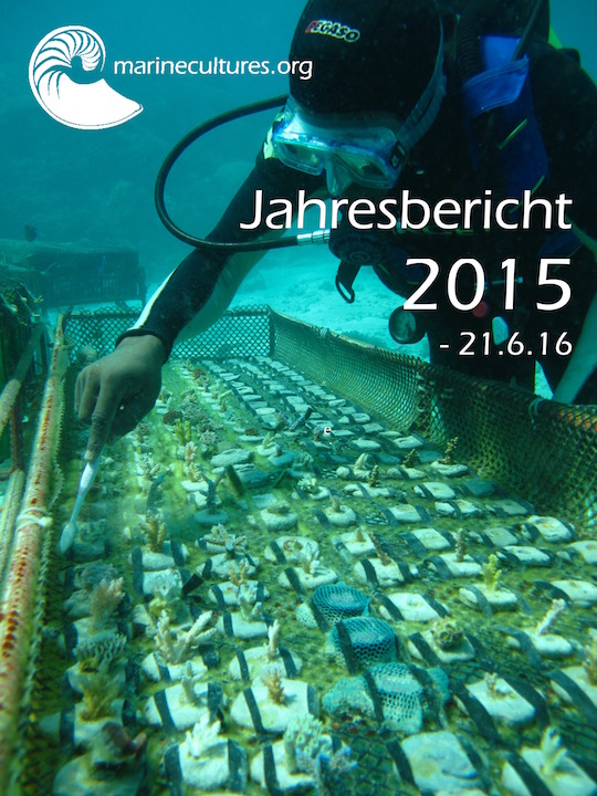 Deckblatt Jahresbericht 2015