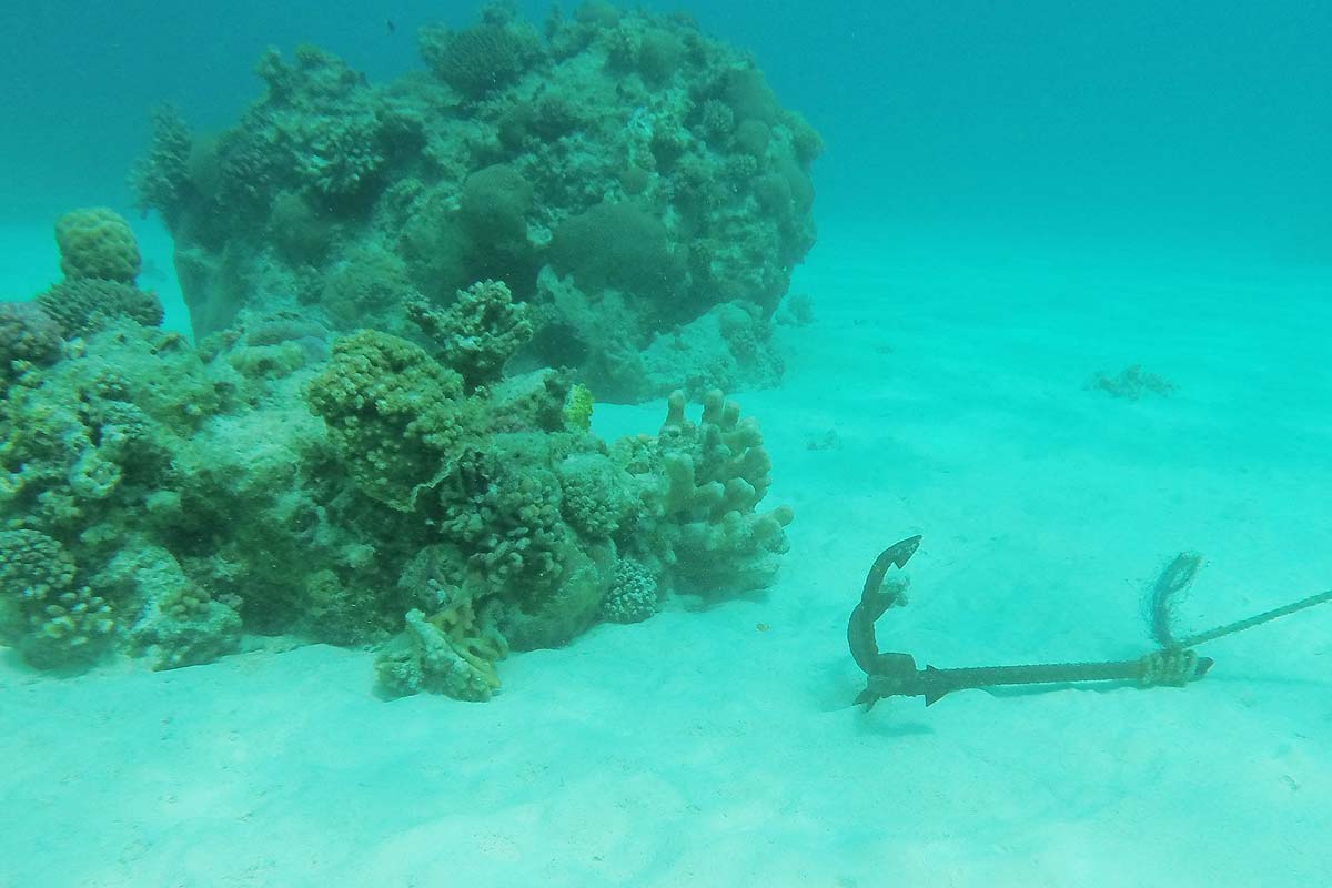 Anchor just missed the corals