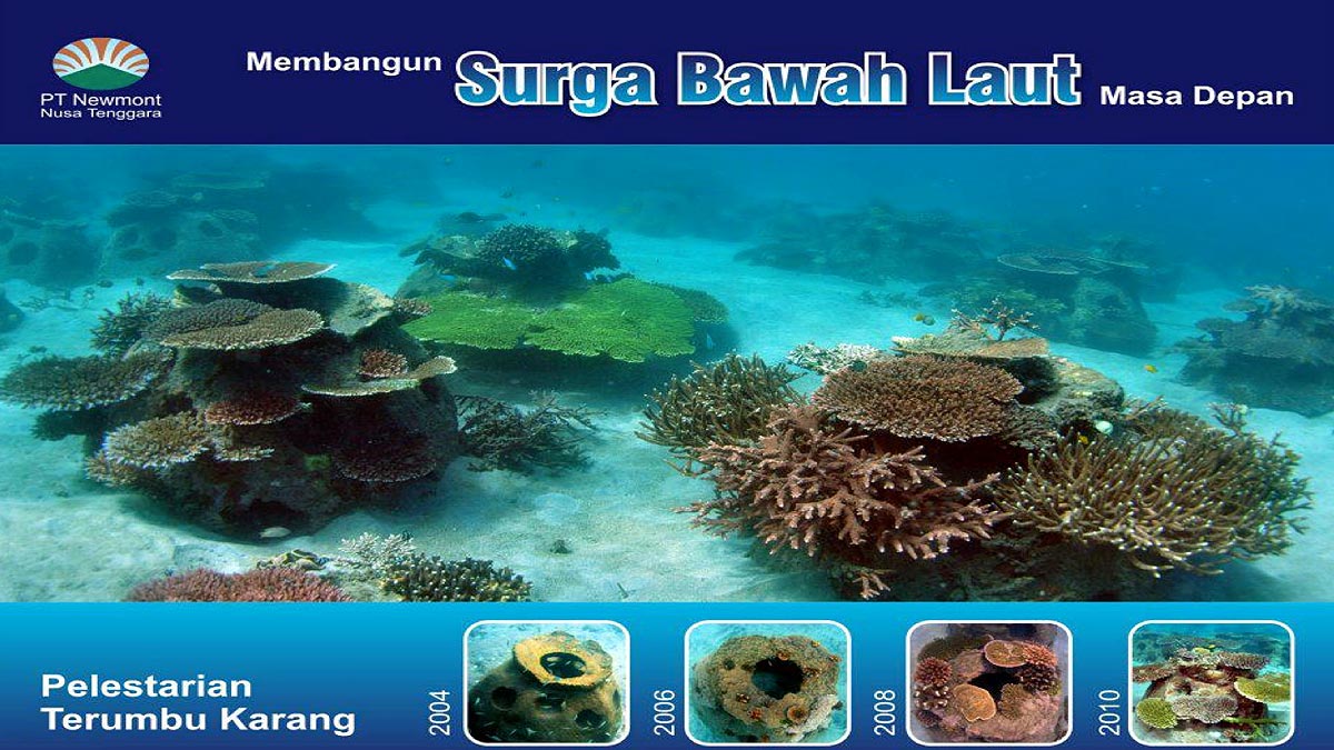 Künstliches Riff mit Reef Balls in Indonesien