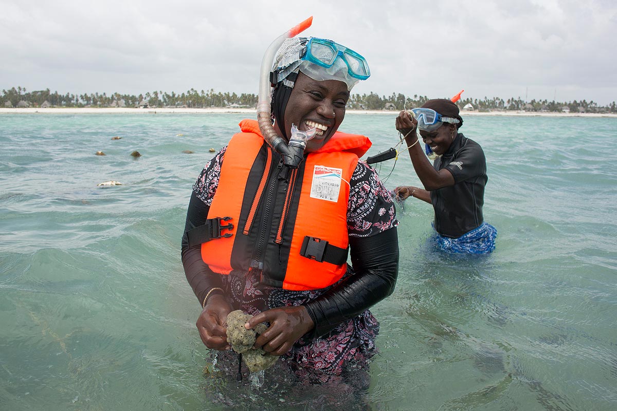 Spongefarmers at work