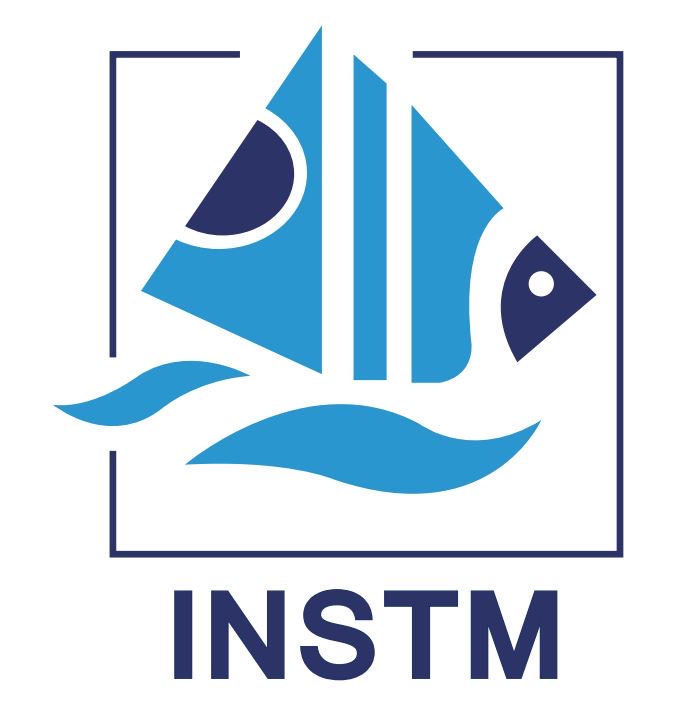 INSTM Logo