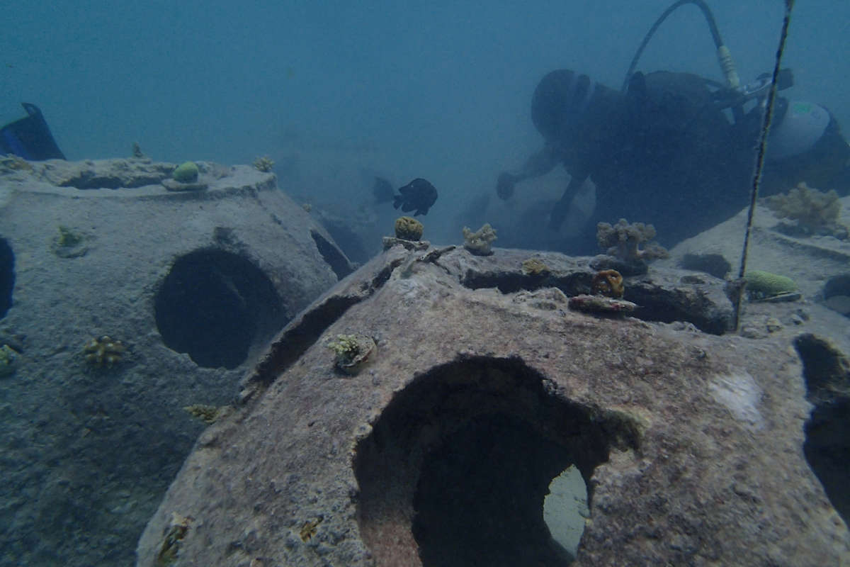 Reforestation training on artificial reef 