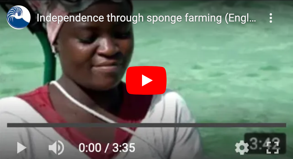 Video still: Independence Thanks to Sponge Farms