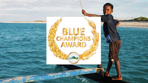 Blue Champions Award Logo