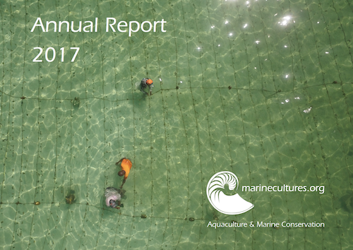 Deckblatt Annual Report 2017