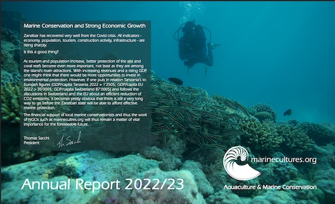 Download annual report 2022 screenshot annual report