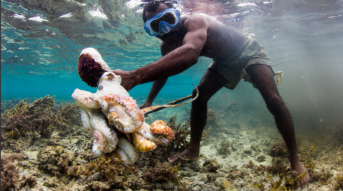 Octopus Hunter under water