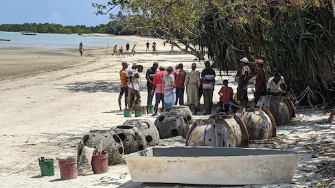 Reef balls in Pemba