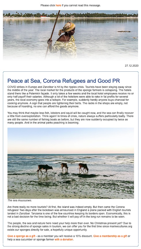 Newsletter Screenshot
