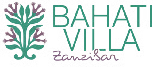 villa bahati logo