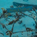 Reefstar_A3
